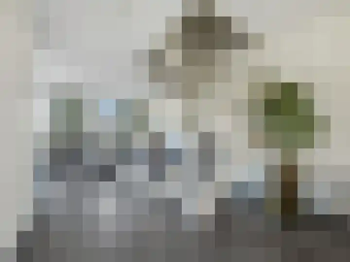 Looër Enkweg 13 Zutphen thumbnail 8