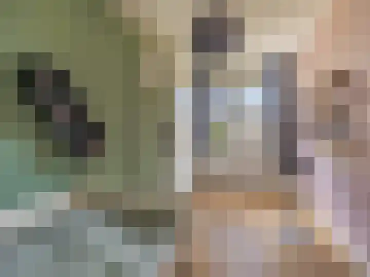 Looër Enkweg 31 Zutphen thumbnail 17