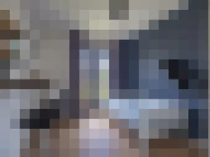 Looër Enkweg 31 Zutphen thumbnail 20