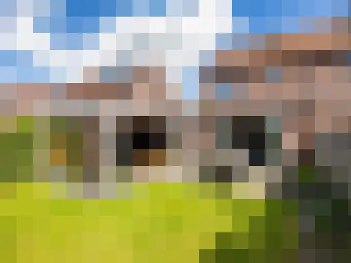 Looër Enkweg 31 Zutphen thumbnail 27