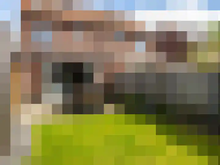 Looër Enkweg 31 Zutphen thumbnail 28