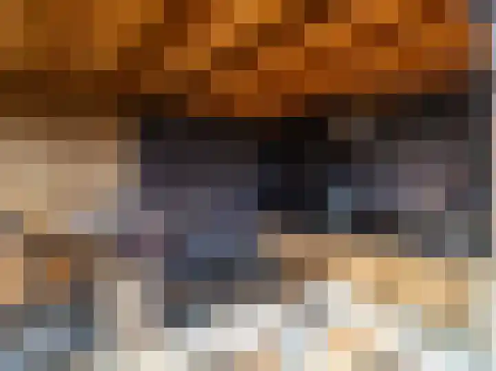 Looër Enkweg 31 Zutphen thumbnail 30