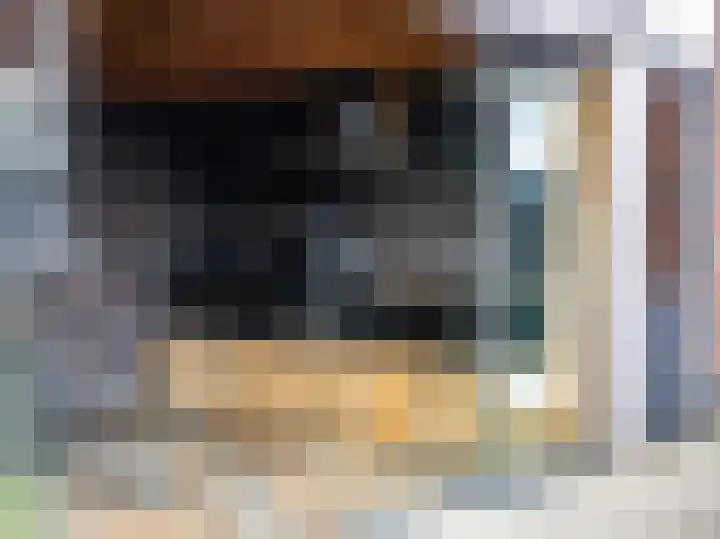 Looër Enkweg 31 Zutphen thumbnail 32