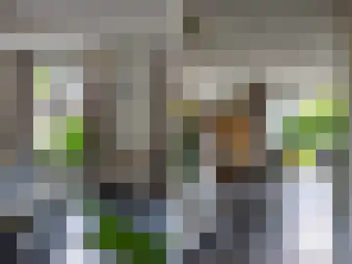 Looër Enkweg 31 Zutphen thumbnail 9