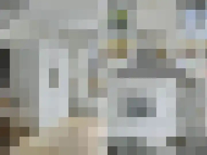 Looër Enkweg 37 Zutphen thumbnail 11