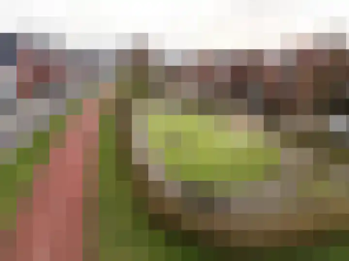 Looër Enkweg 37 Zutphen thumbnail 35