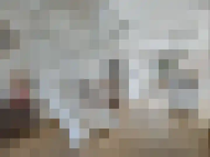 Looër Enkweg 37 Zutphen thumbnail 8