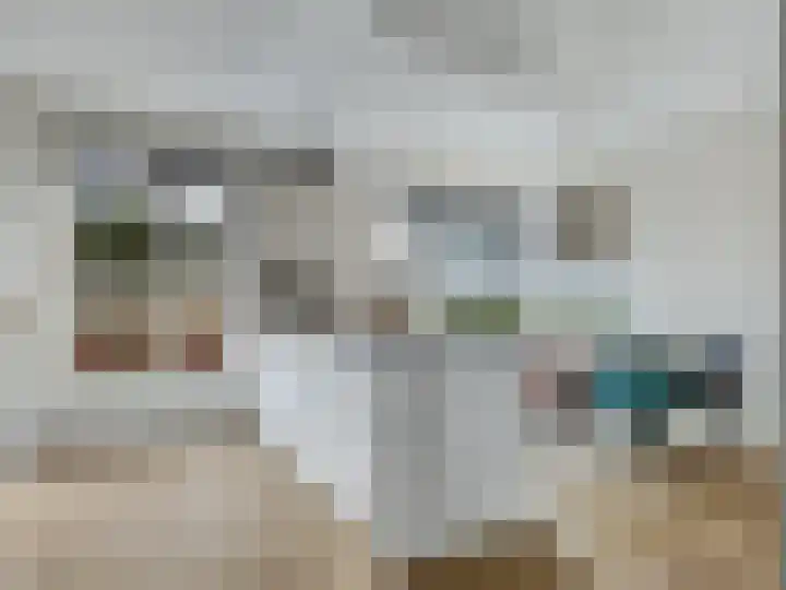 Looër Enkweg 37 Zutphen thumbnail 9