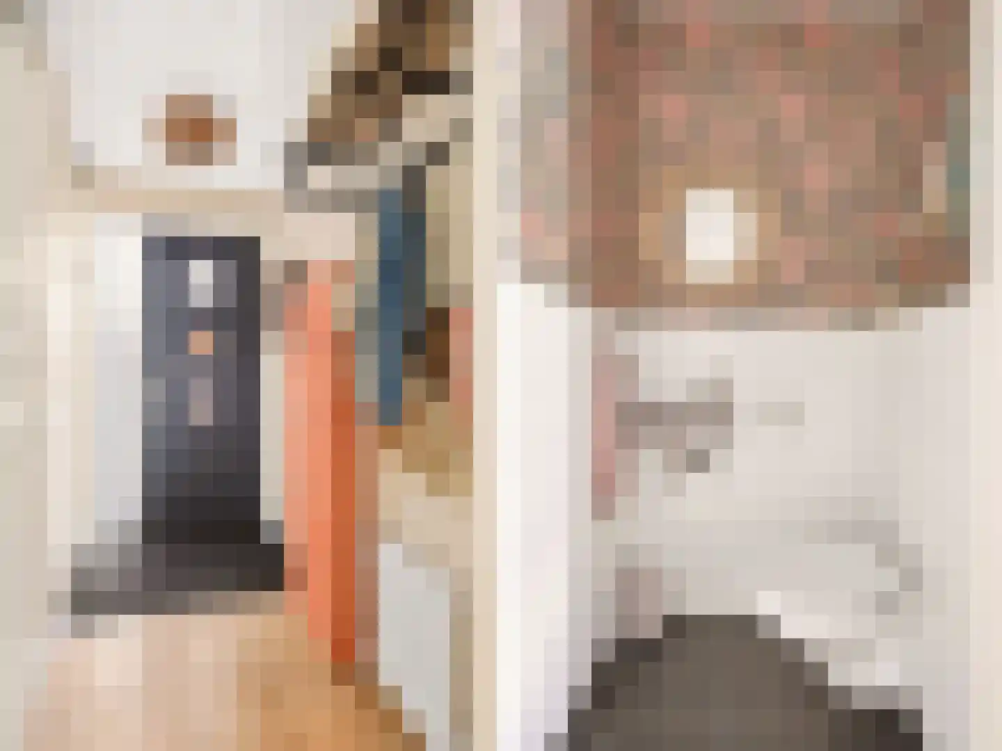 Looër Enkweg 47 Zutphen thumbnail 12