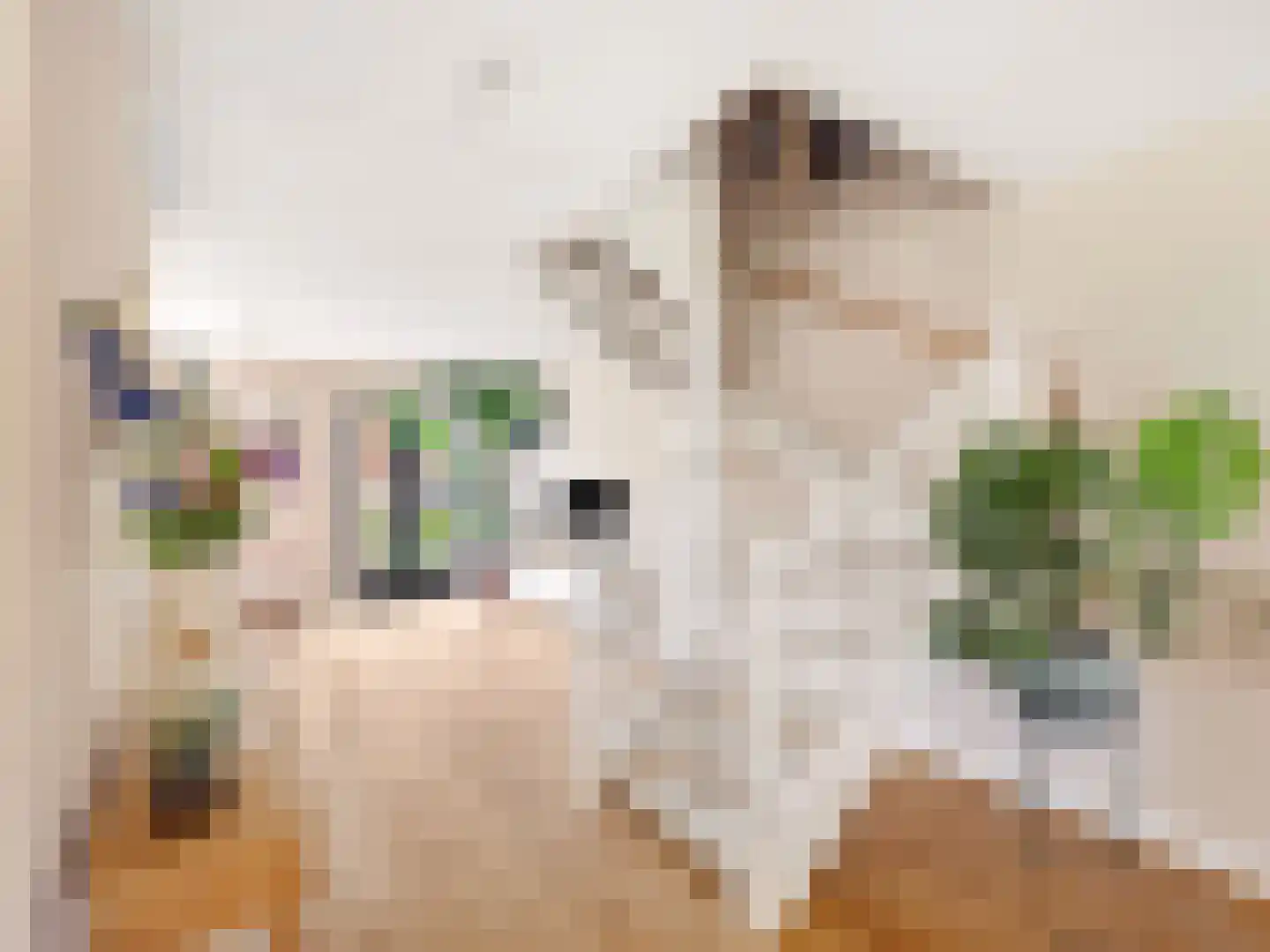 Looër Enkweg 47 Zutphen thumbnail 13