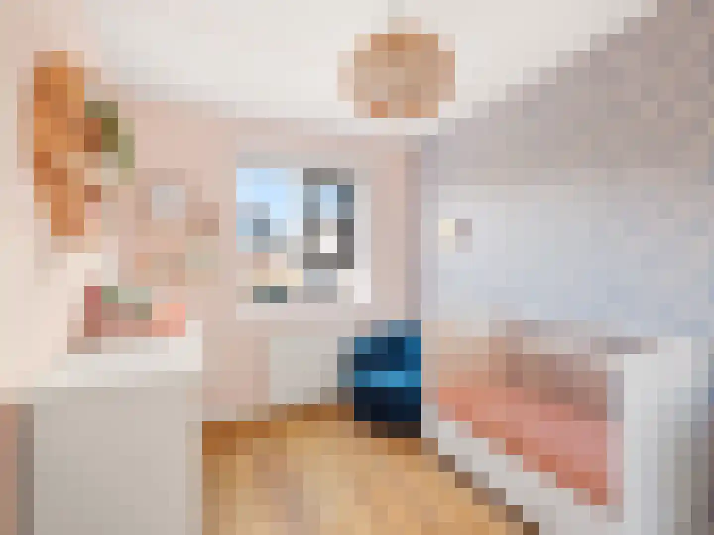 Looër Enkweg 47 Zutphen thumbnail 15