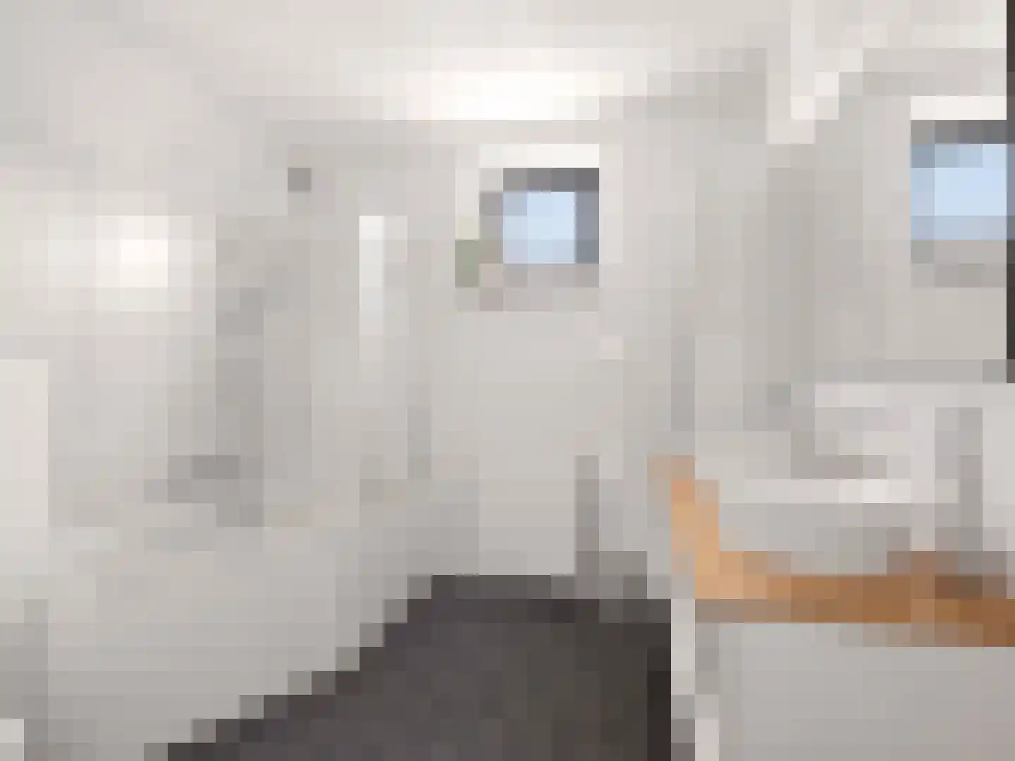 Looër Enkweg 47 Zutphen thumbnail 16