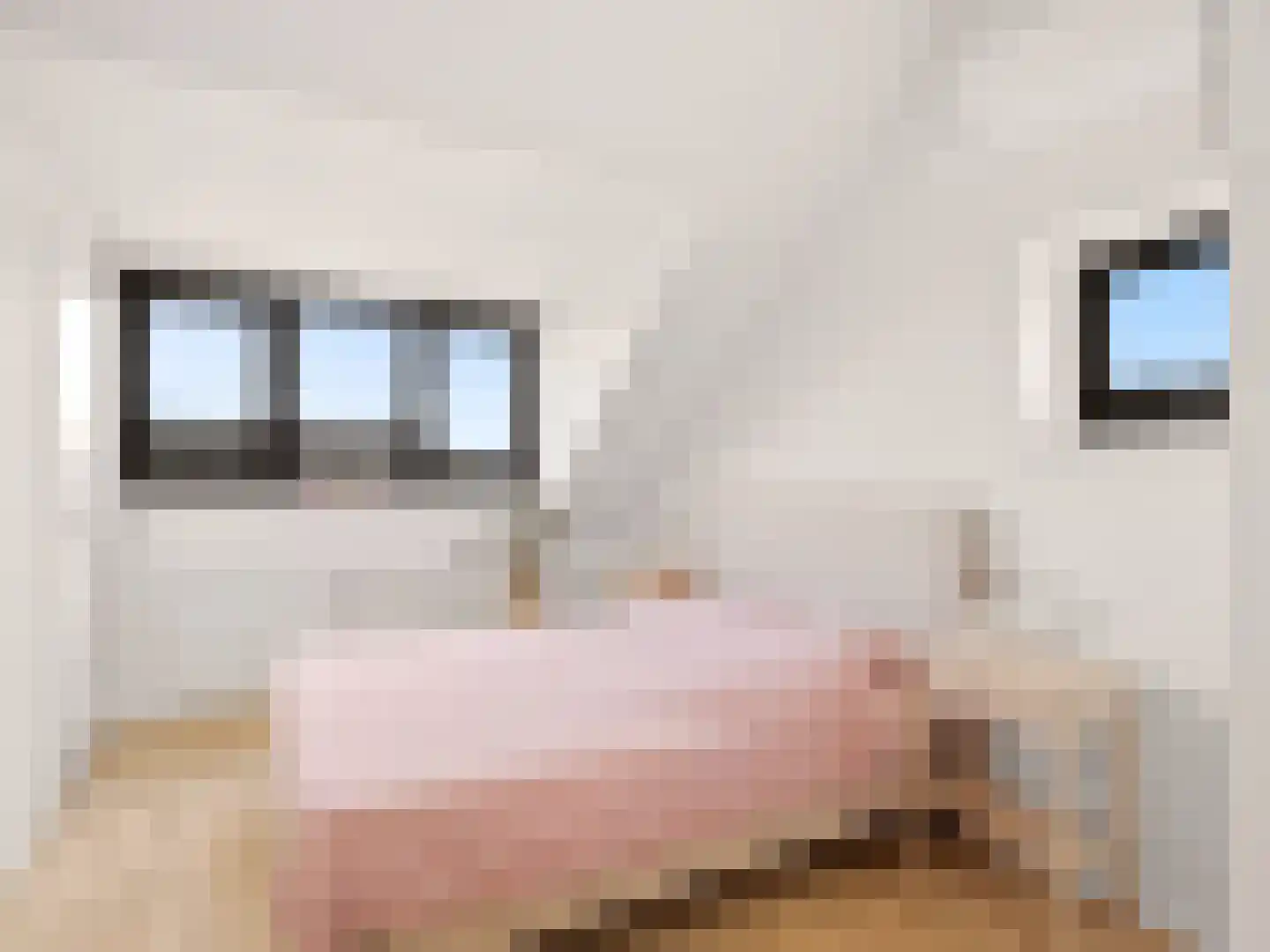Looër Enkweg 47 Zutphen thumbnail 21