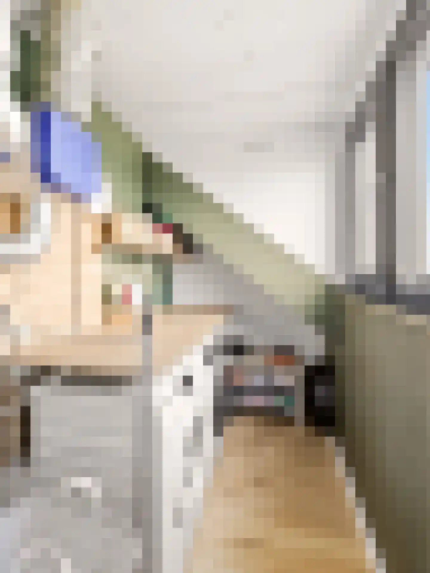 Looër Enkweg 47 Zutphen thumbnail 23