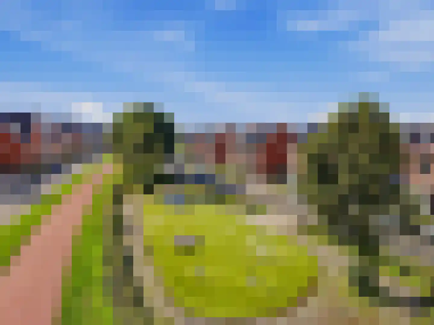 Looër Enkweg 47 Zutphen foto 3