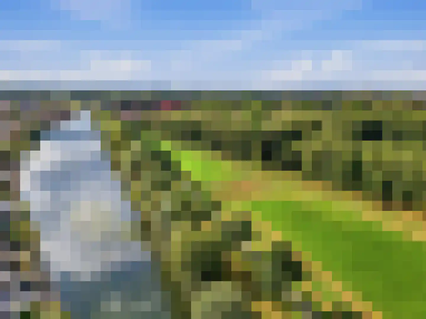 Looër Enkweg 47 Zutphen thumbnail 38