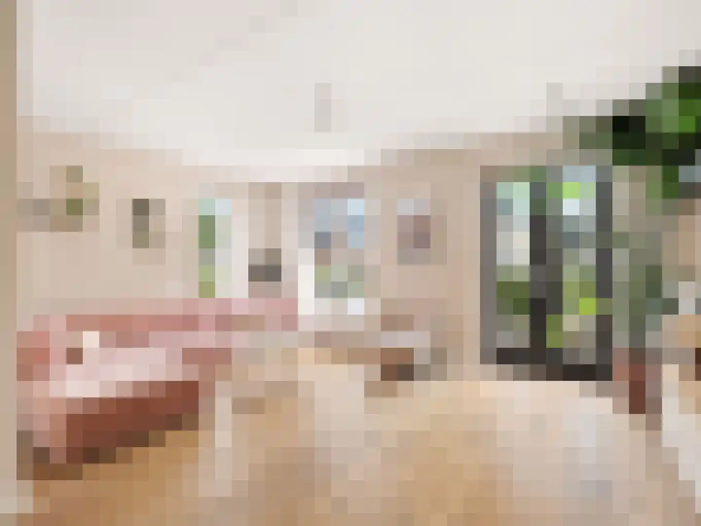 Looër Enkweg 47 Zutphen thumbnail 4