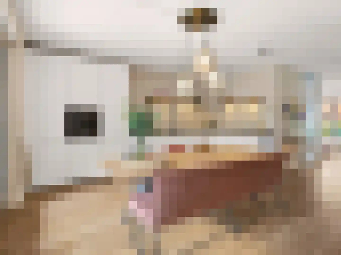 Looër Enkweg 47 Zutphen thumbnail 5