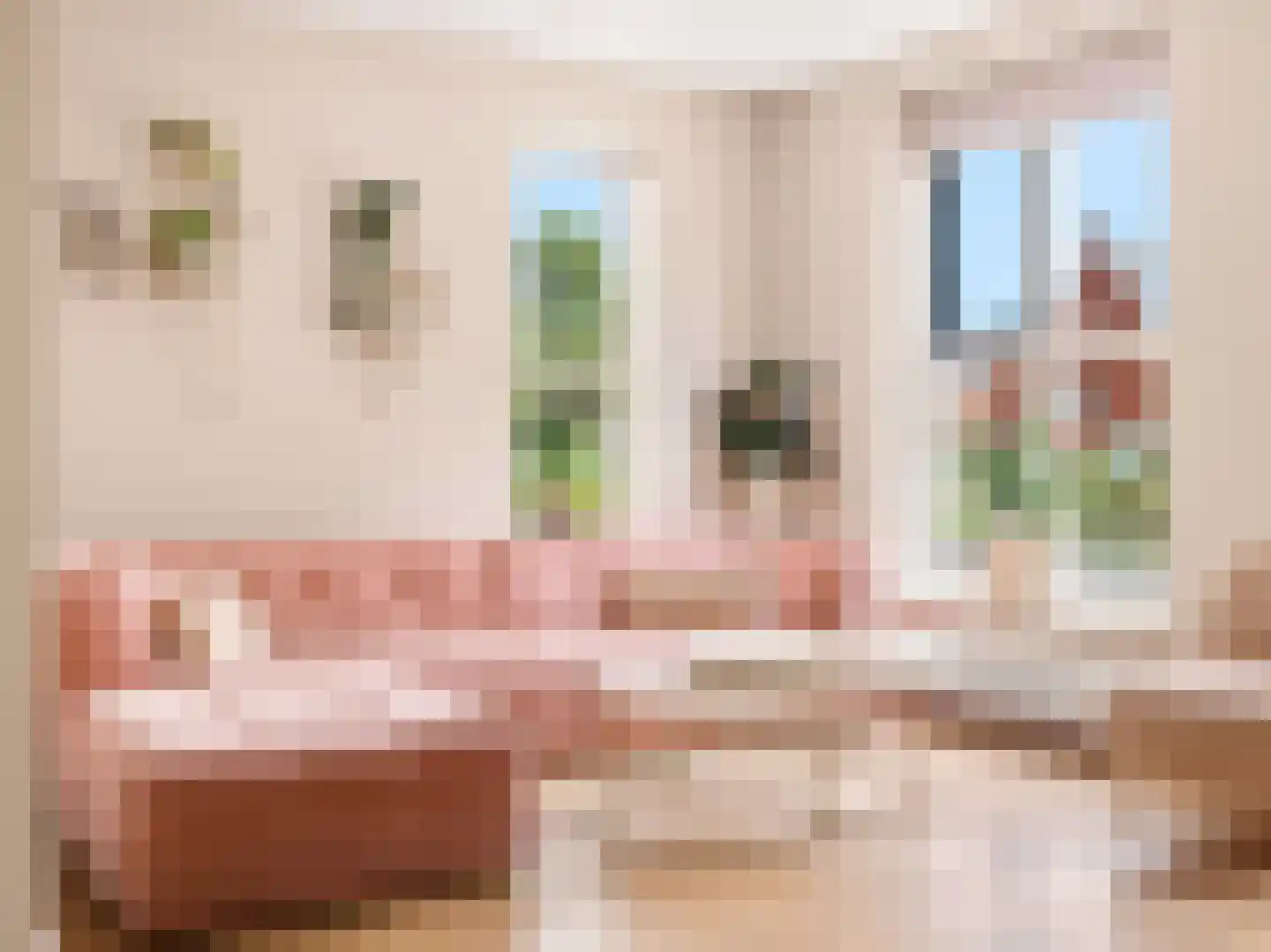 Looër Enkweg 47 Zutphen thumbnail 7