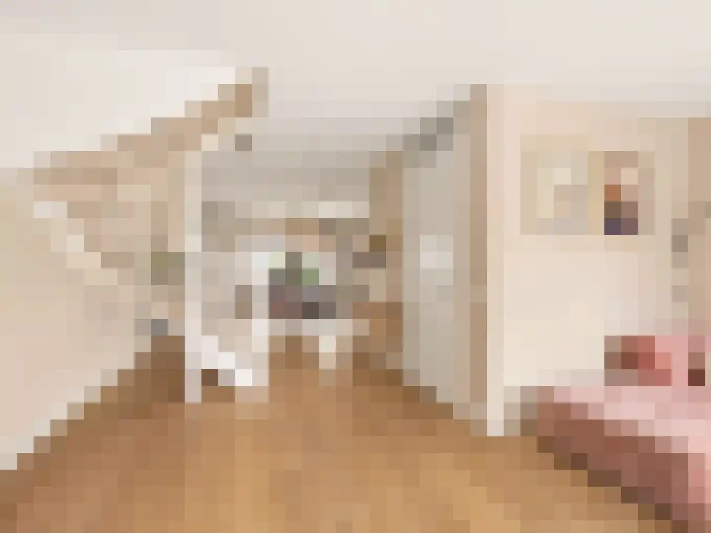 Looër Enkweg 47 Zutphen thumbnail 8