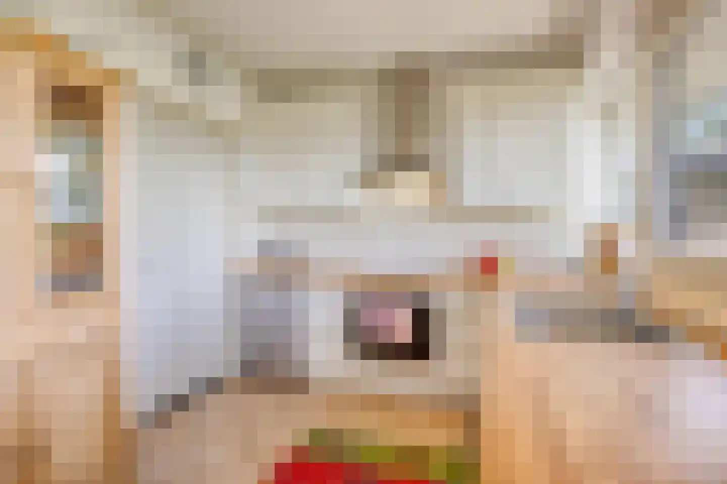 Looërmark 19 Bathmen thumbnail 21