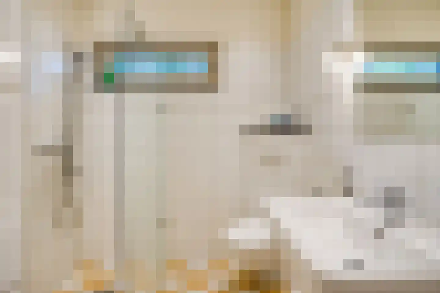Looërmark 19 Bathmen thumbnail 25