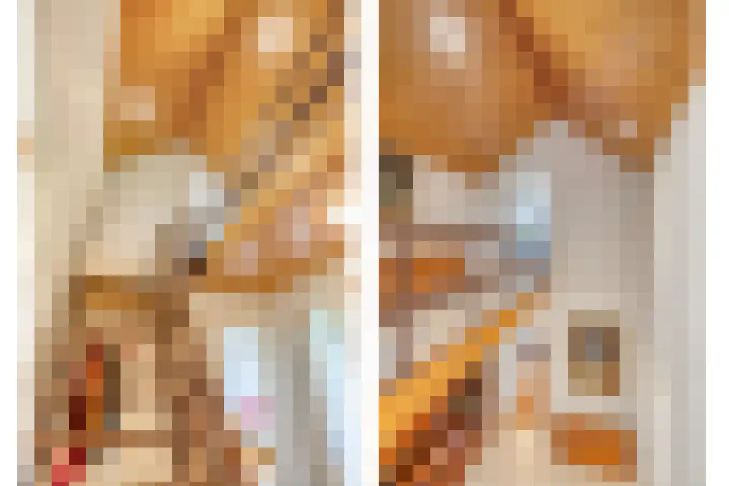 Looërmark 19 Bathmen thumbnail 30