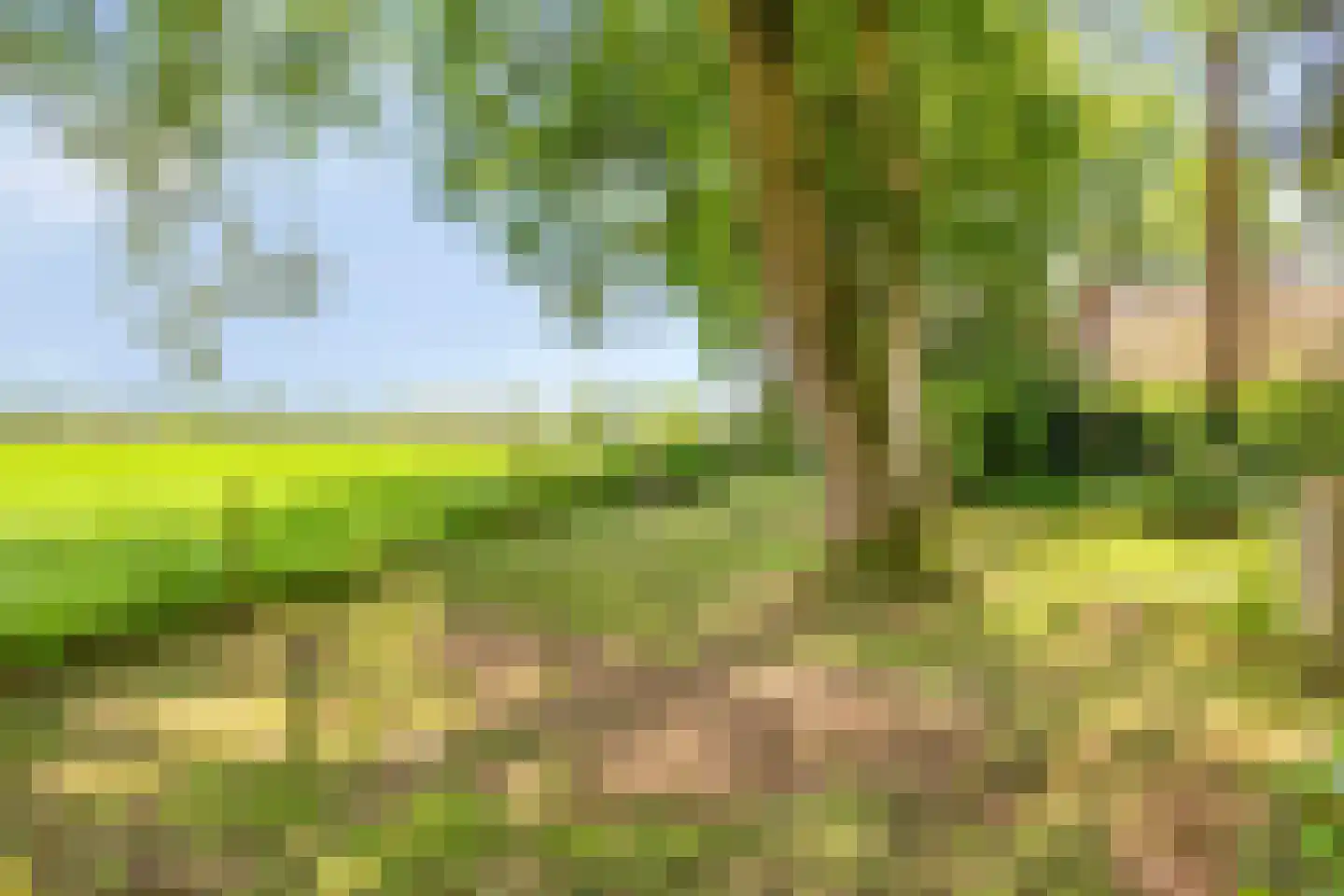Looërmark 19 Bathmen thumbnail 41