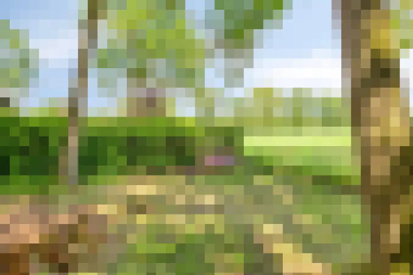 Looërmark 19 Bathmen thumbnail 42