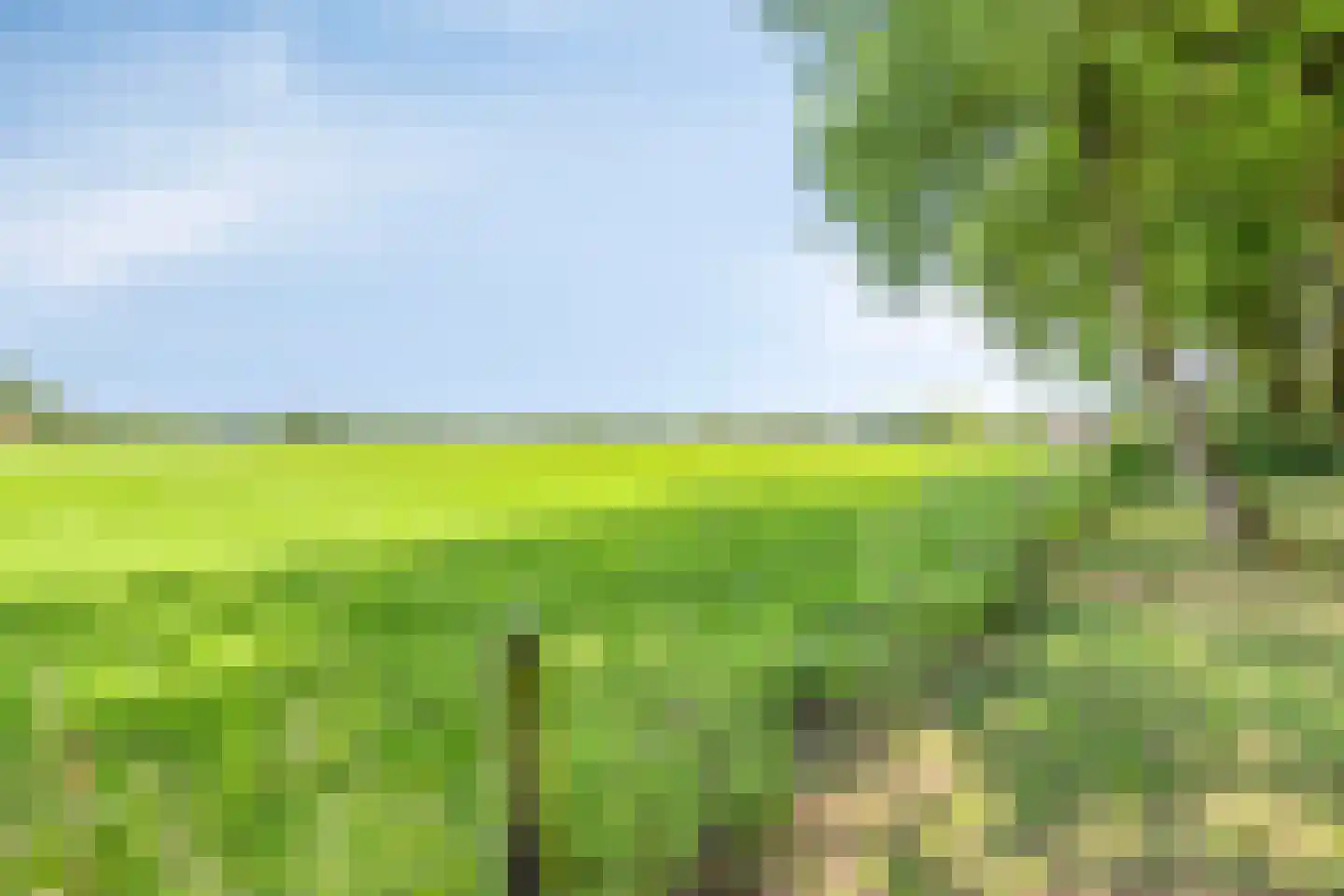 Looërmark 19 Bathmen thumbnail 44