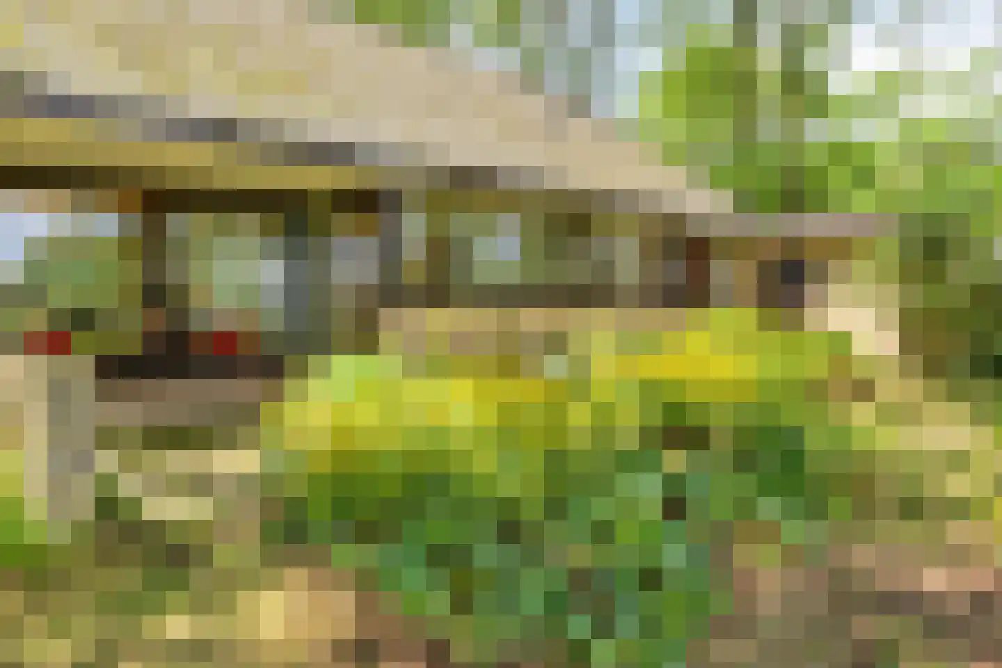 Looërmark 19 Bathmen thumbnail 46