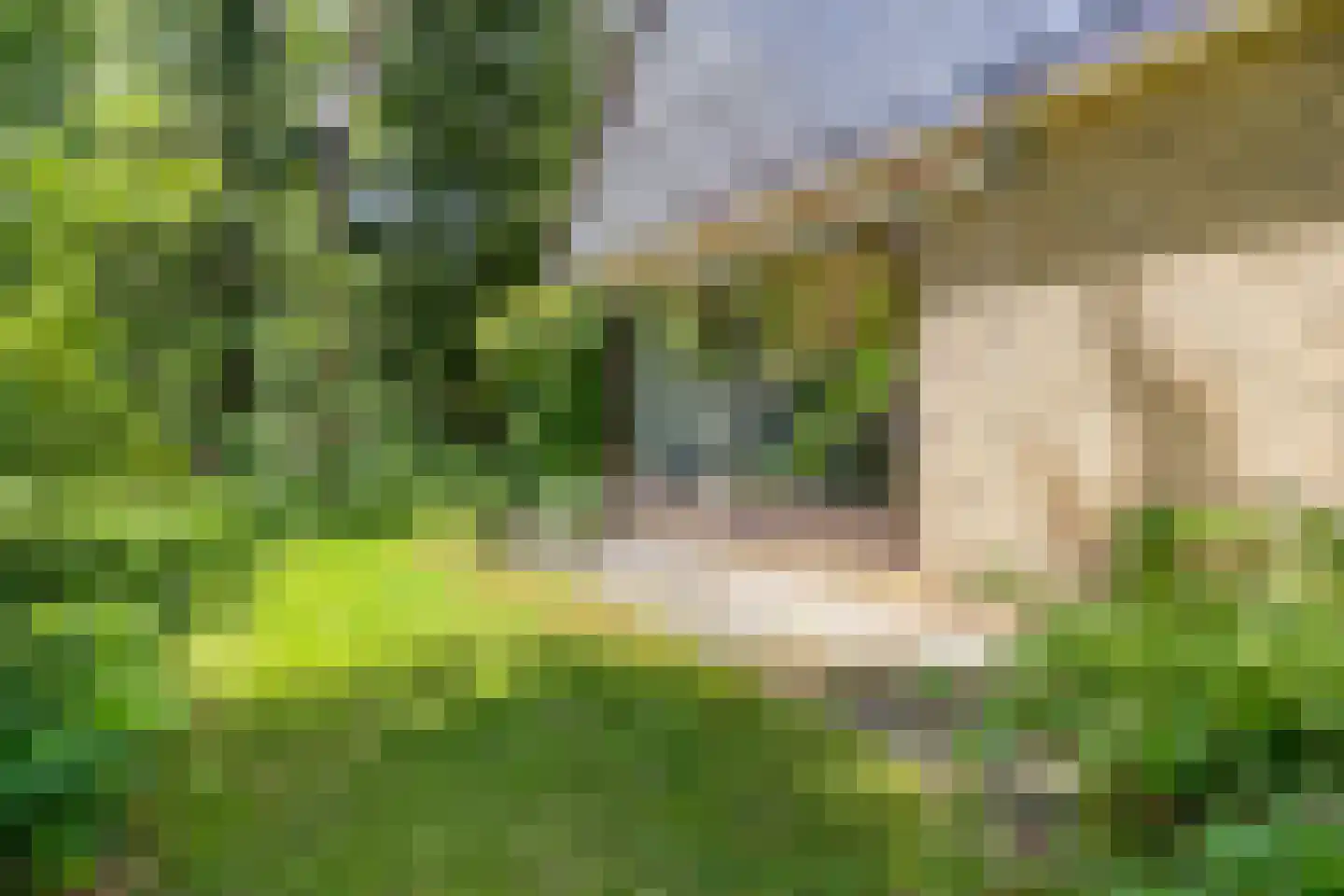 Looërmark 19 Bathmen thumbnail 47