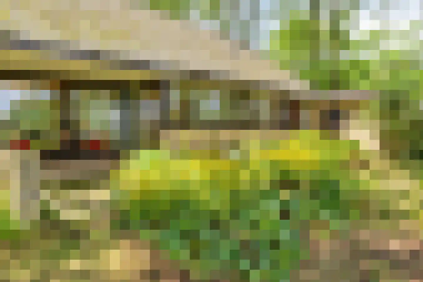 Looërmark 19 Bathmen thumbnail 5