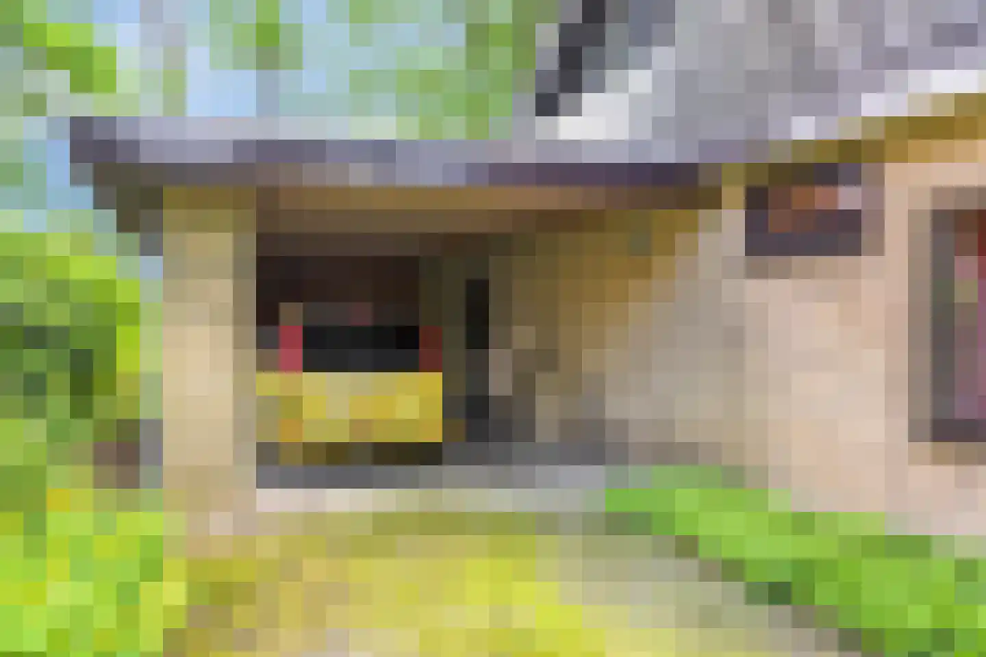 Looërmark 19 Bathmen thumbnail 51