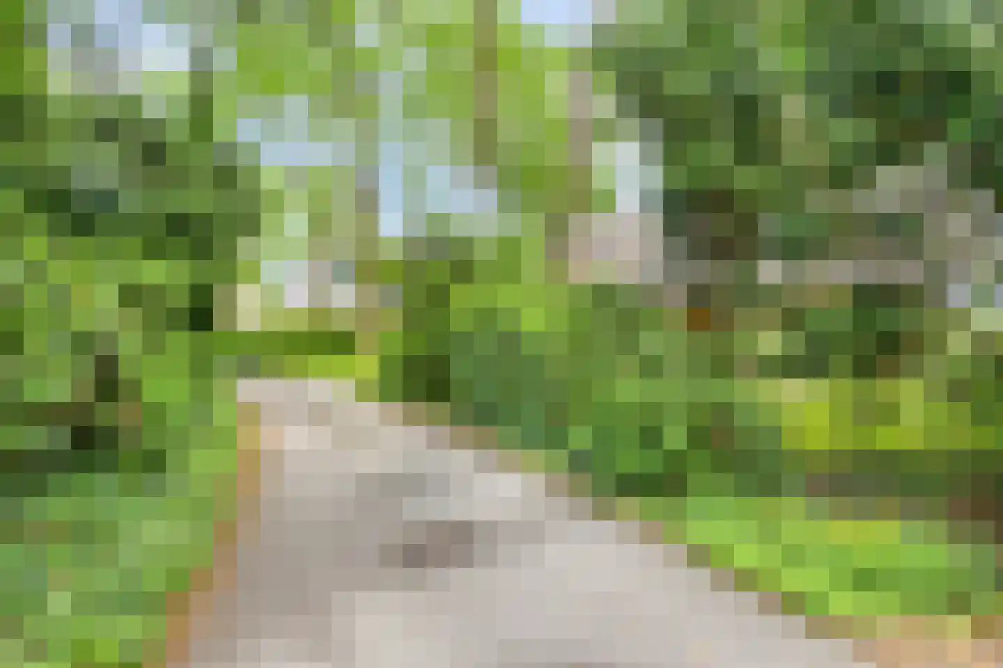 Looërmark 19 Bathmen thumbnail 53