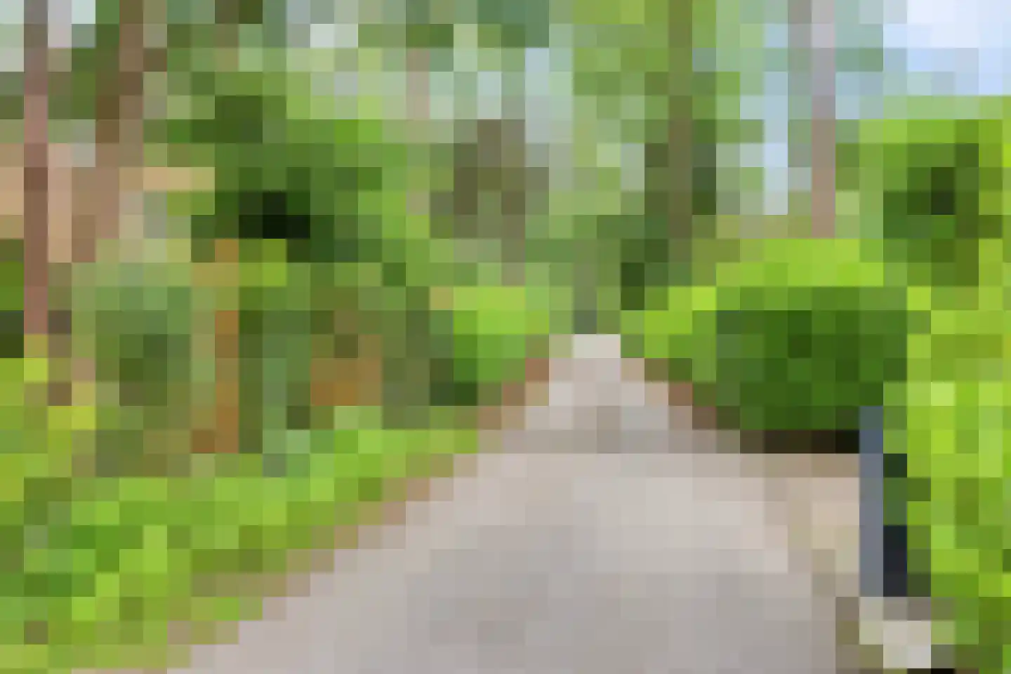 Looërmark 19 Bathmen thumbnail 54
