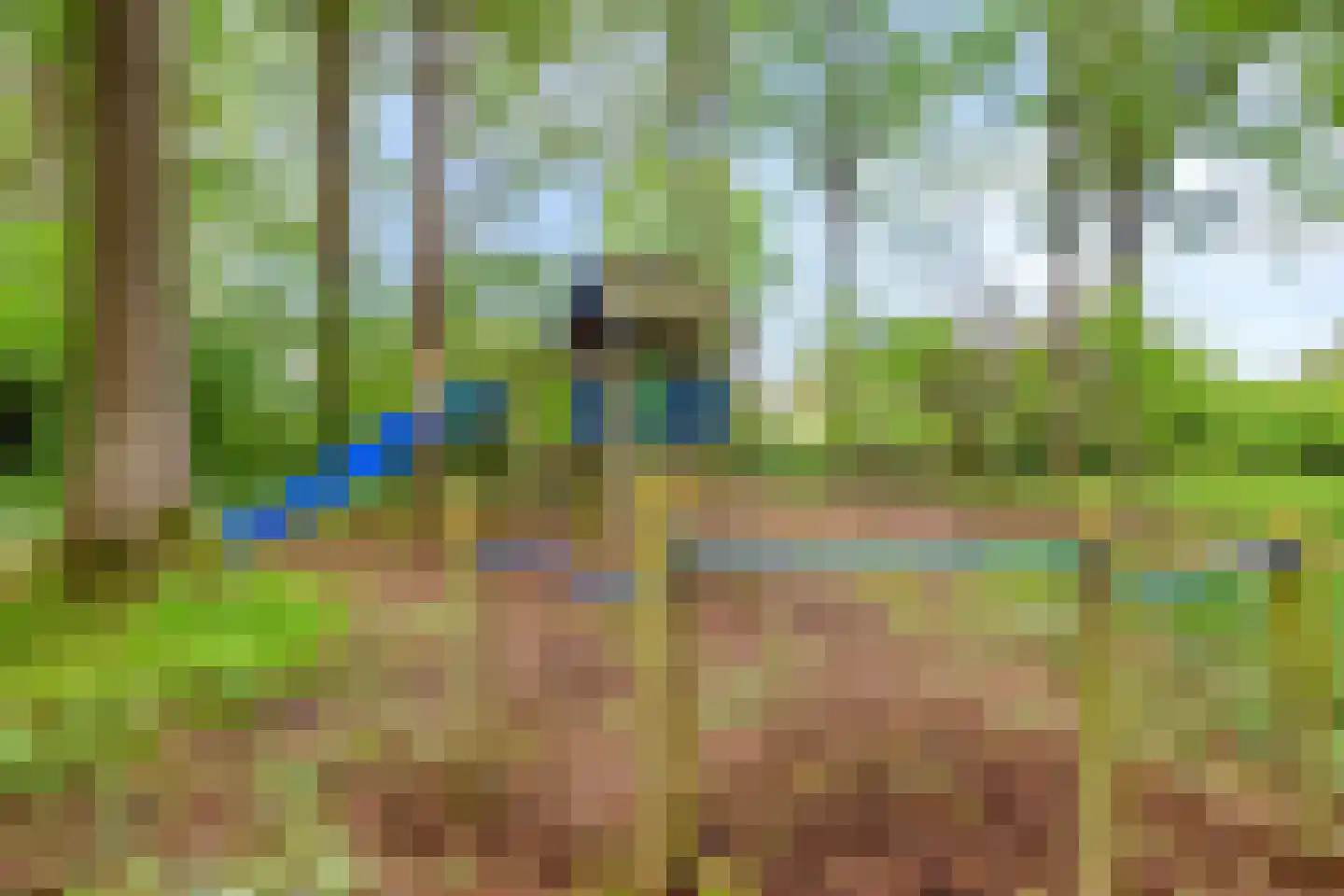 Looërmark 19 Bathmen thumbnail 55