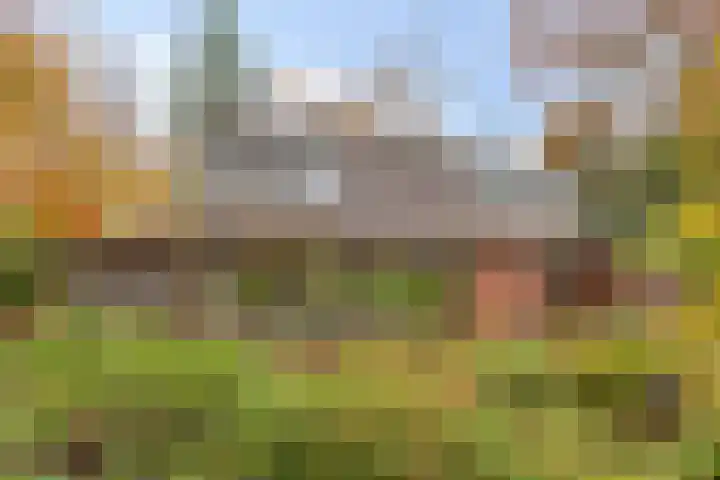 Looërmark 23 Bathmen