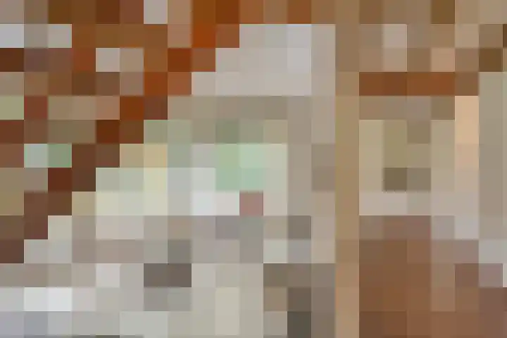 Looërmark 23 Bathmen thumbnail 17