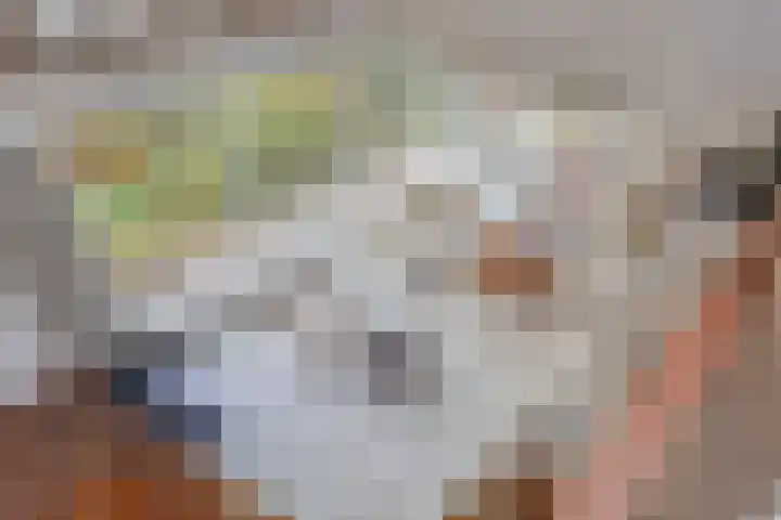 Looërmark 23 Bathmen thumbnail 32