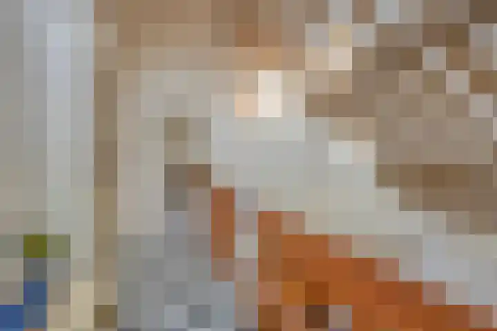 Looërmark 23 Bathmen thumbnail 33