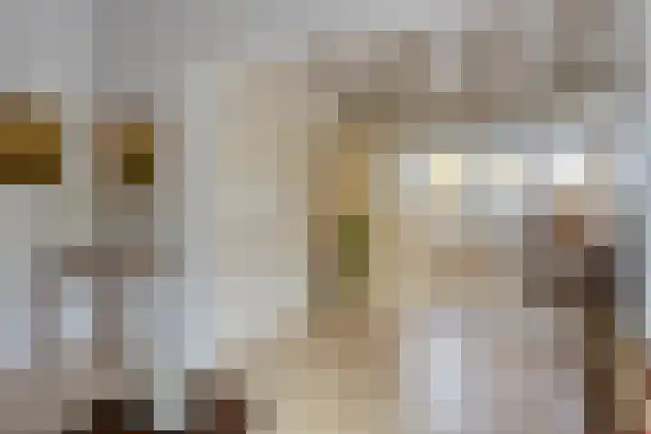 Looërmark 23 Bathmen thumbnail 36