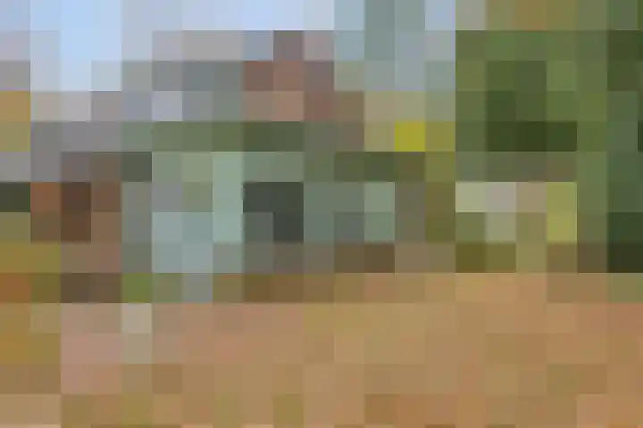 Looërmark 23 Bathmen thumbnail 4