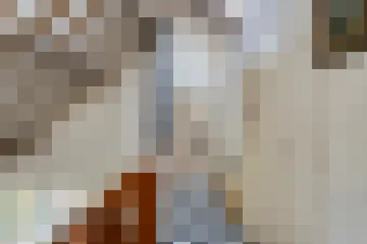 Looërmark 23 Bathmen thumbnail 43