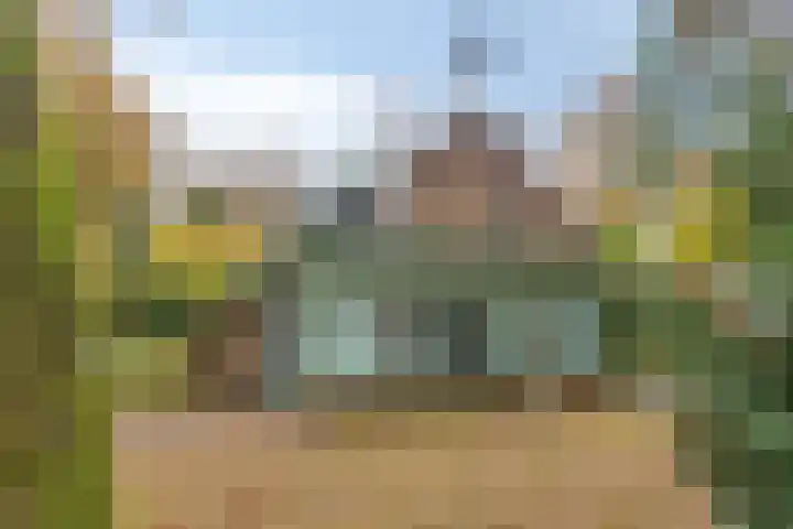 Looërmark 23 Bathmen thumbnail 45