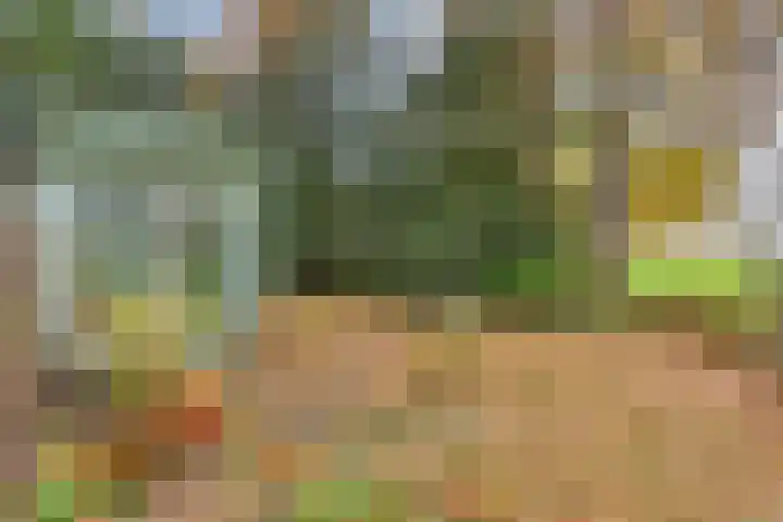 Looërmark 23 Bathmen thumbnail 46