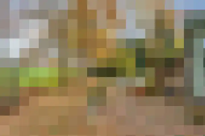 Looërmark 23 Bathmen thumbnail 47