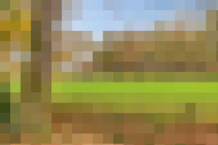 Looërmark 23 Bathmen thumbnail 48