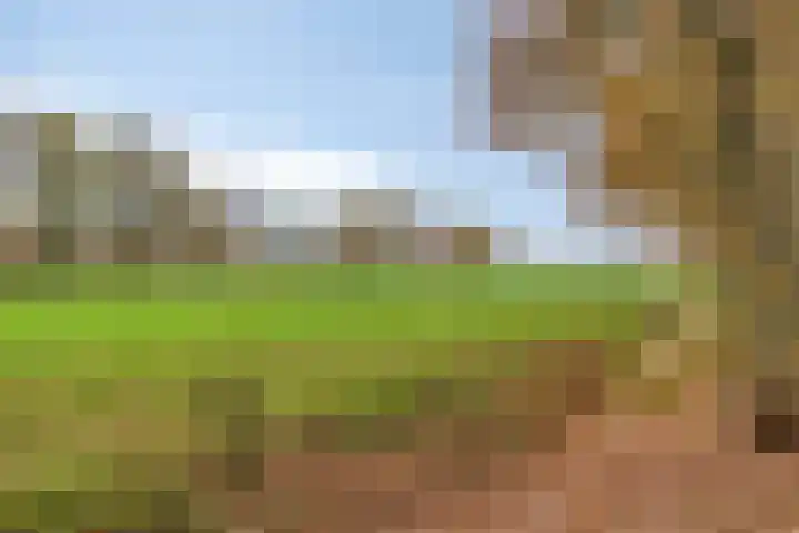 Looërmark 23 Bathmen thumbnail 49