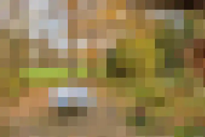 Looërmark 23 Bathmen thumbnail 5